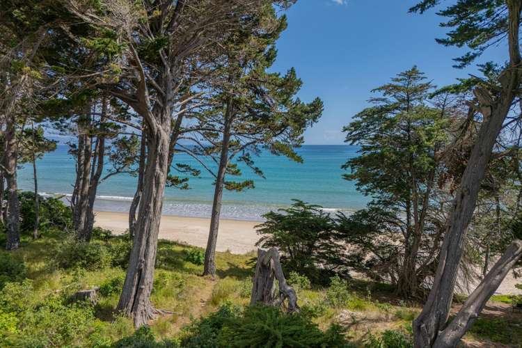 118 Sh25 Kuaotunu_24