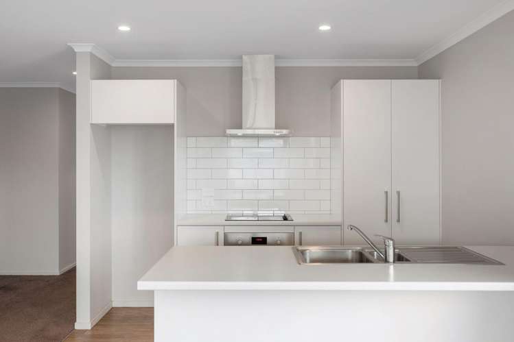 38 Nicolau Av Rolleston_3