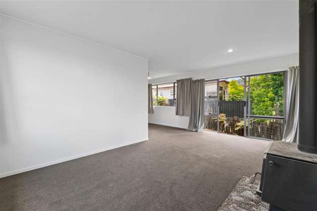 45 Collie Drive Pukehangi_3