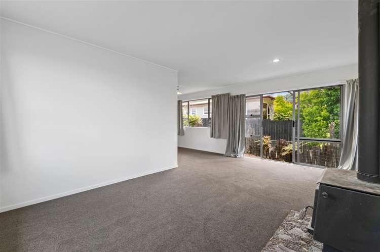 45 Collie Drive Pukehangi_3