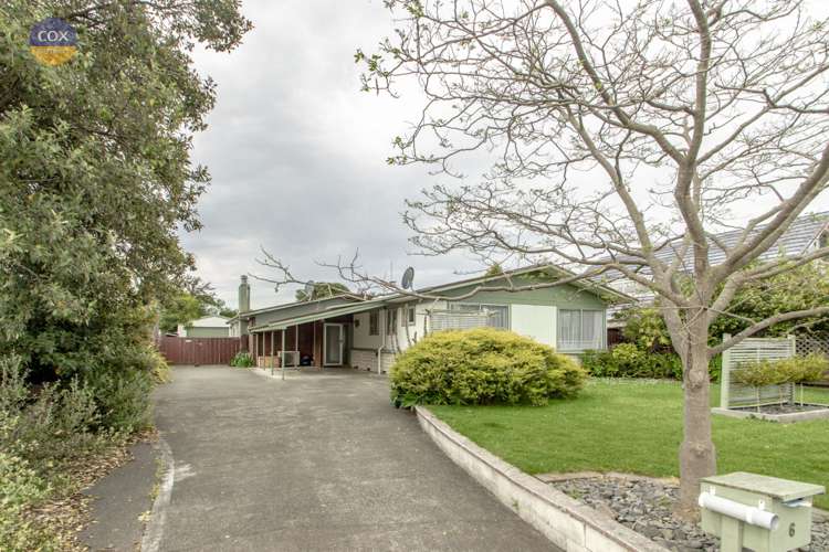6 Bristol Street Tamatea_8