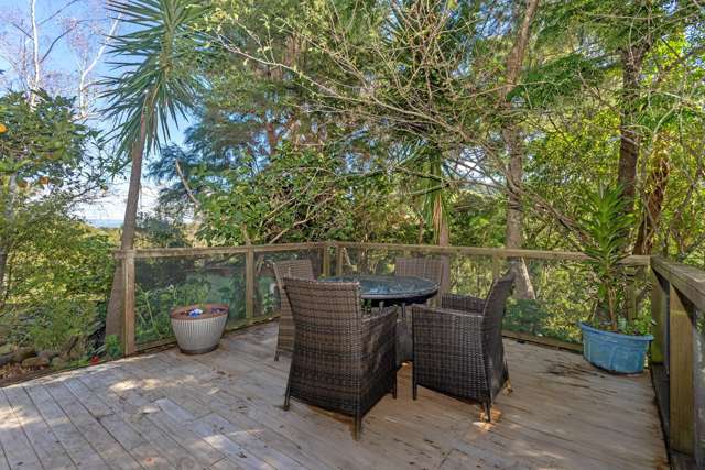 Life among the treetops