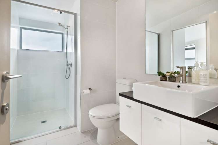 2b Dexter Avenue Mount Eden_17