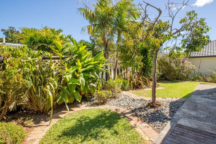 10a Arran Street Avondale_14