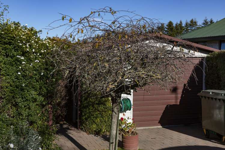 11 Parklane Place Weston_23