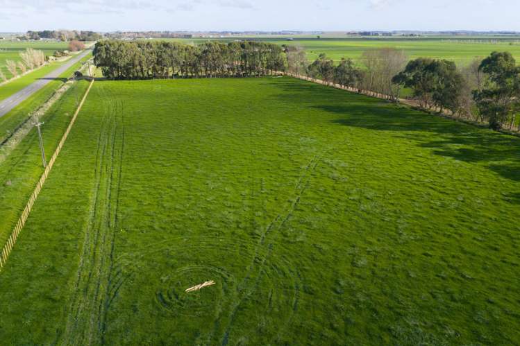 Lot 2 Kairanga Bunnythorpe Road Kairanga_7