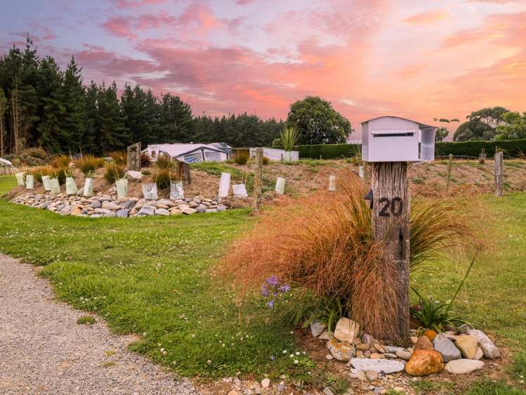 20 Stafford Street Hampden_7