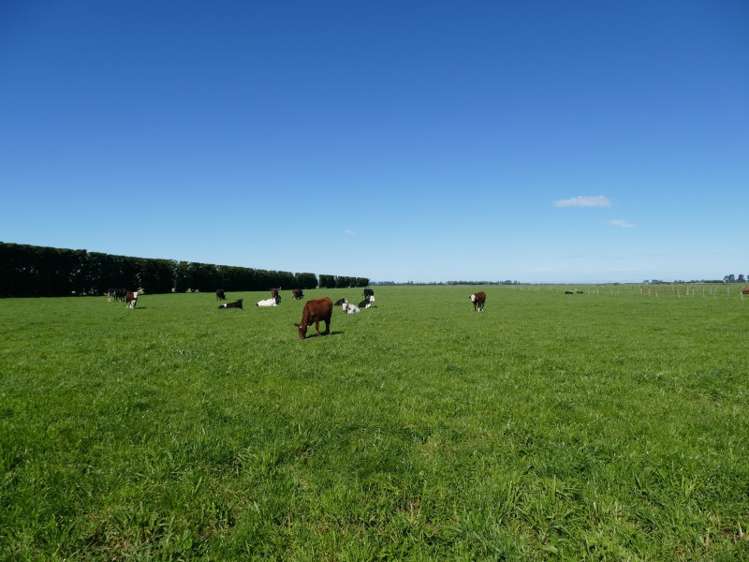 149 Karanga Road Dunsandel_17