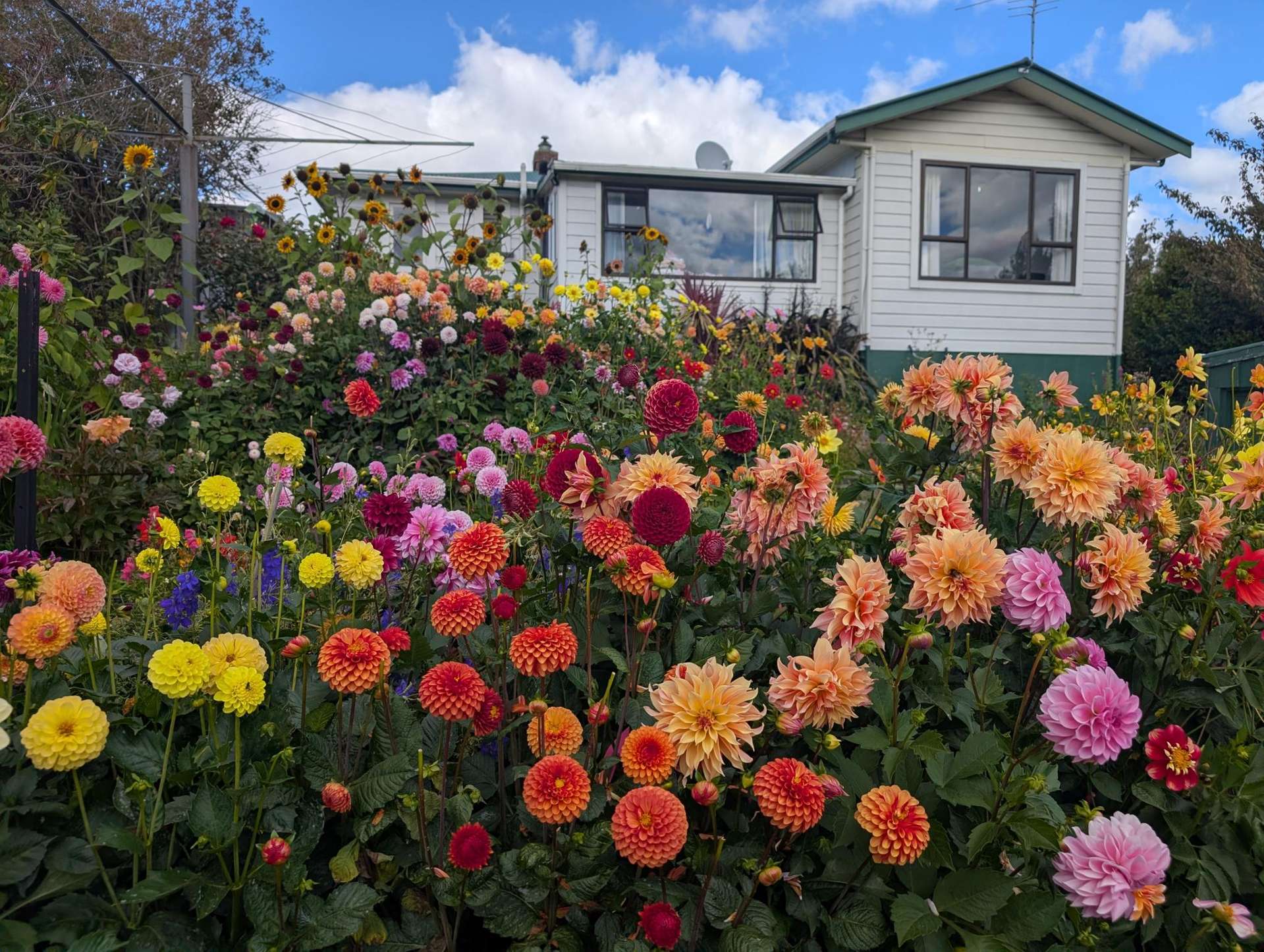 5 Stronsa Street Palmerston_0