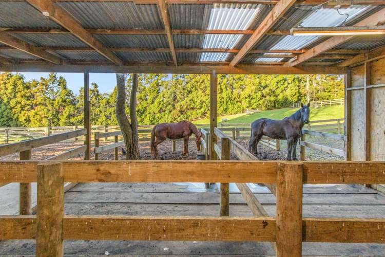 366 Rimmer Road Helensville_21