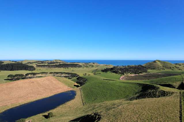 Rehutai Road Baylys Beach_3