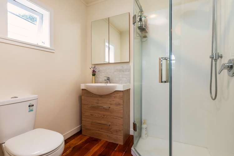 10d Amandale Avenue Mount Albert_8