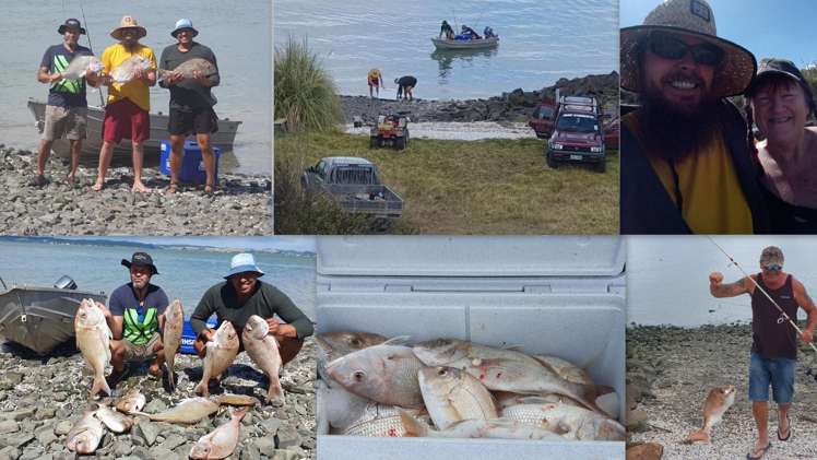 167 Summer Road Tinopai_51