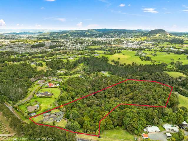 299 Vinegar Hill Road Kauri_2