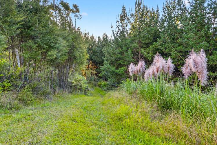 2552 Hunua Road Hunua_18