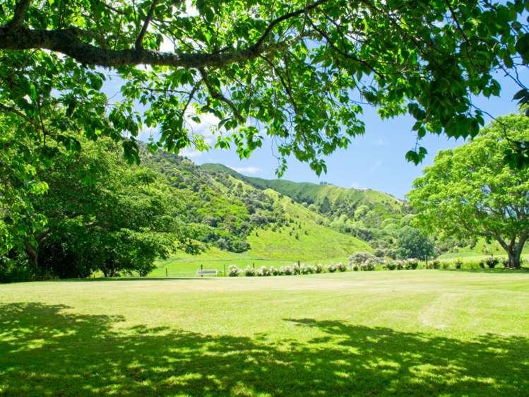 111 Glenelg Road Makauri_14