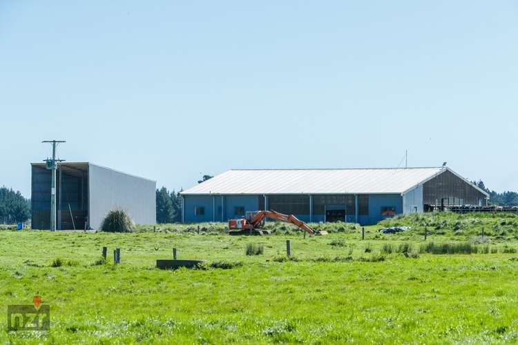 150 Himatangi Beach Road Himatangi_13