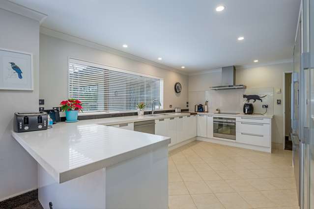99 Waterloo Crescent Hokowhitu_1