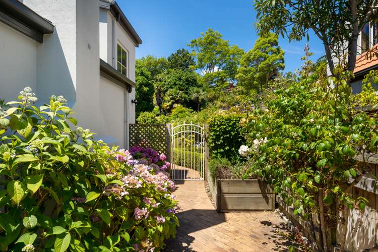 372 Trafalgar Square Nelson City_24