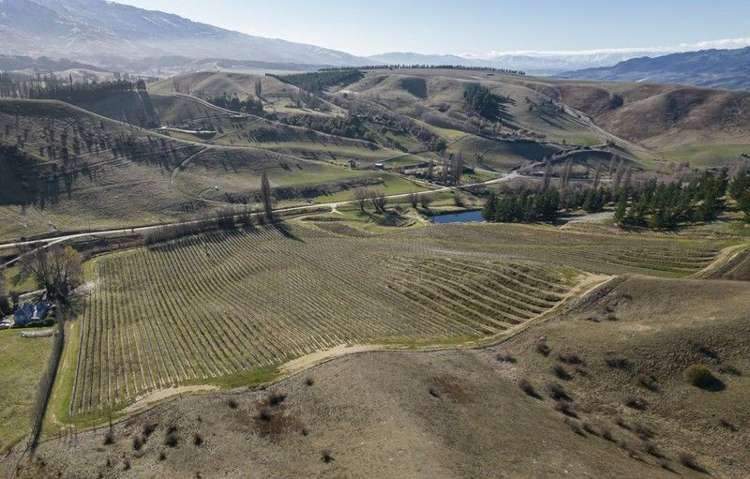 29 McFelin Road Cromwell_9