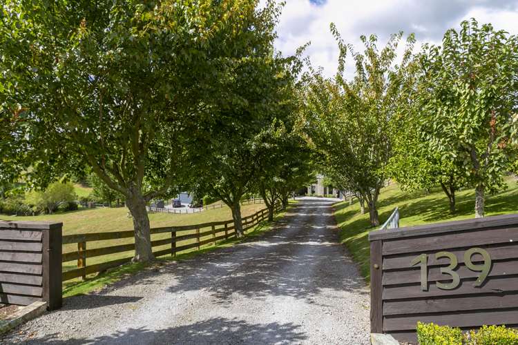 139 Palmer Mill Road Wairakei and Surrounds_51