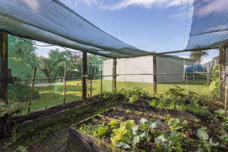 122 Parry Palm Avenue Waihi_12