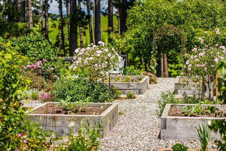 131 Ness Road Kerikeri_25