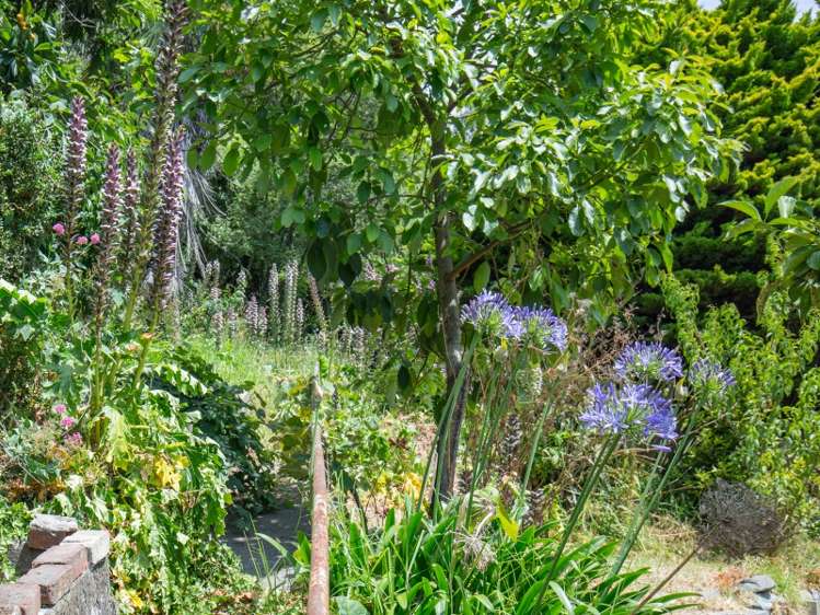 17 Arrow Street Washington Valley_11