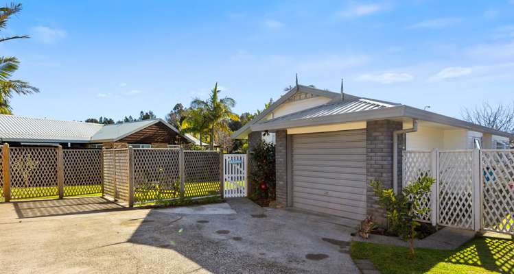 10b Bayfair Drive Mount Maunganui_21
