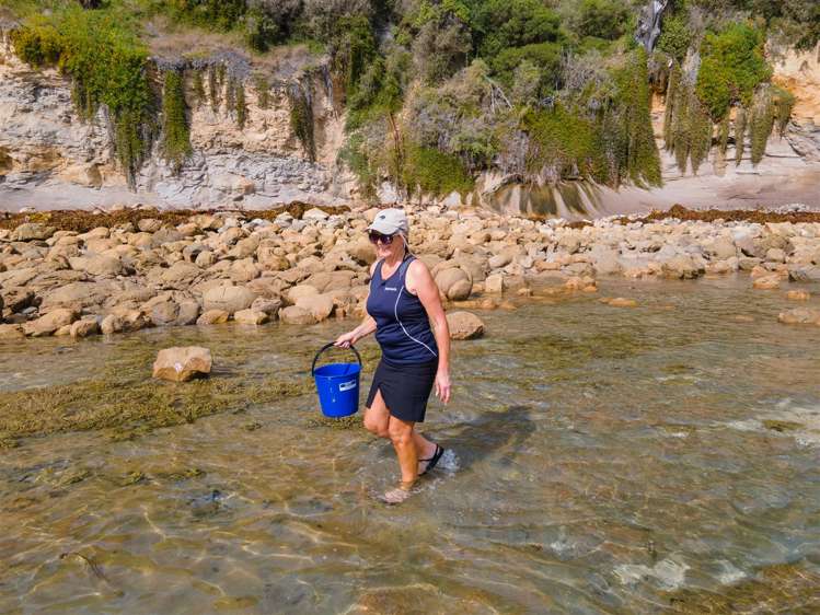 67 Shag Point Road Palmerston_27