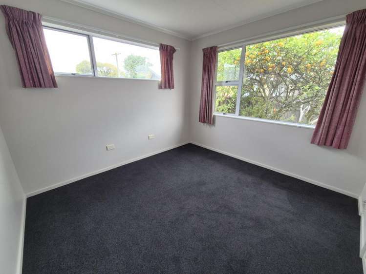 45 Havelock Street Renwick_8