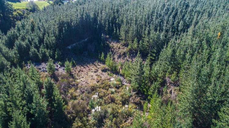 168 Seaton Valley Road Upper Moutere_9