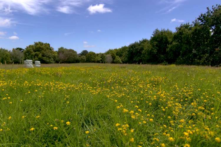 118 Potts Road Whitford_6