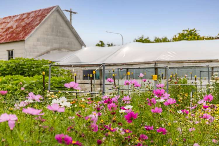 418 Appleby Highway Appleby_29