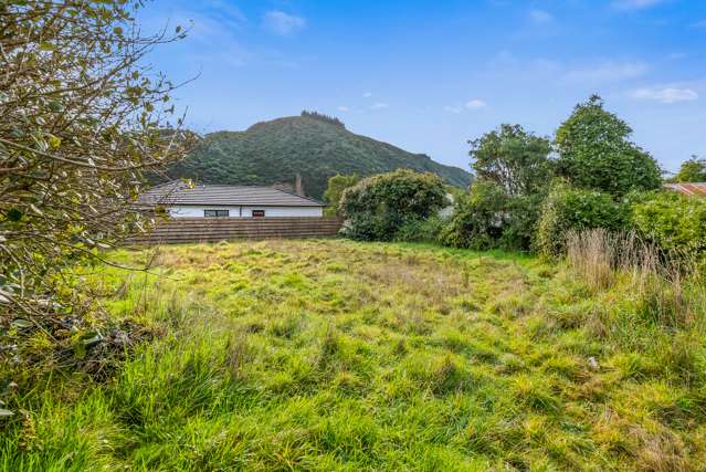 99a Akatarawa Road Birchville_1