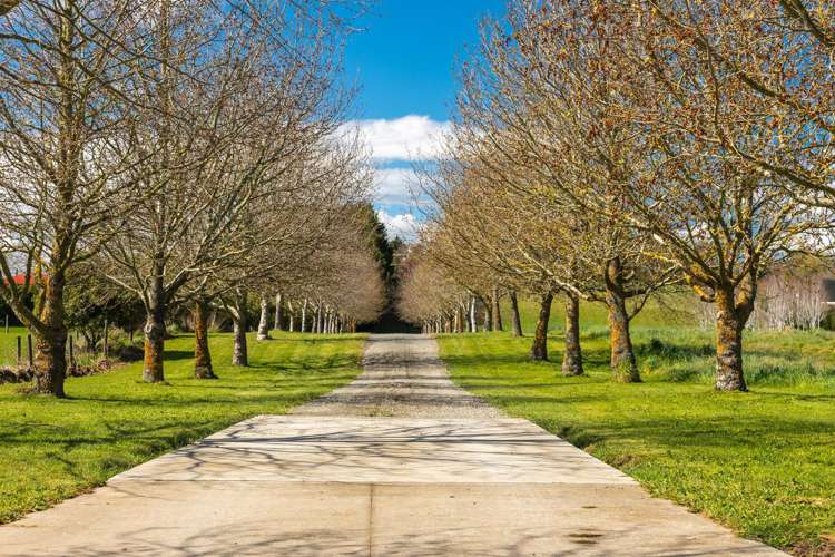 632 Waihopai Valley Road_2