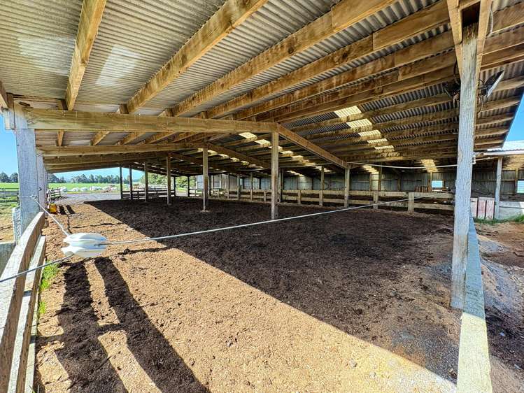 539. Mataura Island Fortrose Road Pine Bush_18