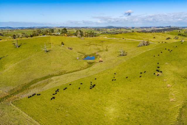 Lot 3 80 Harrison Road Waiotira_4
