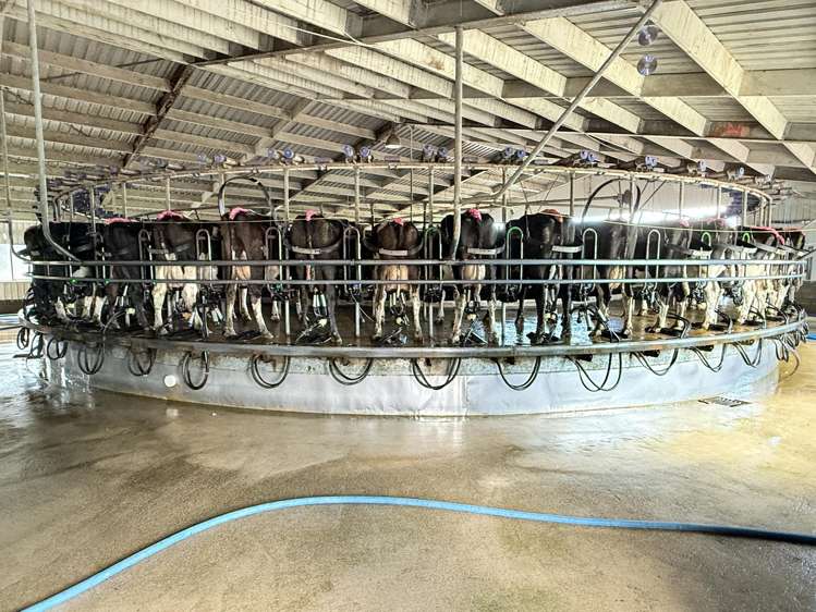 296 Oporo Flat Road Oporo_8