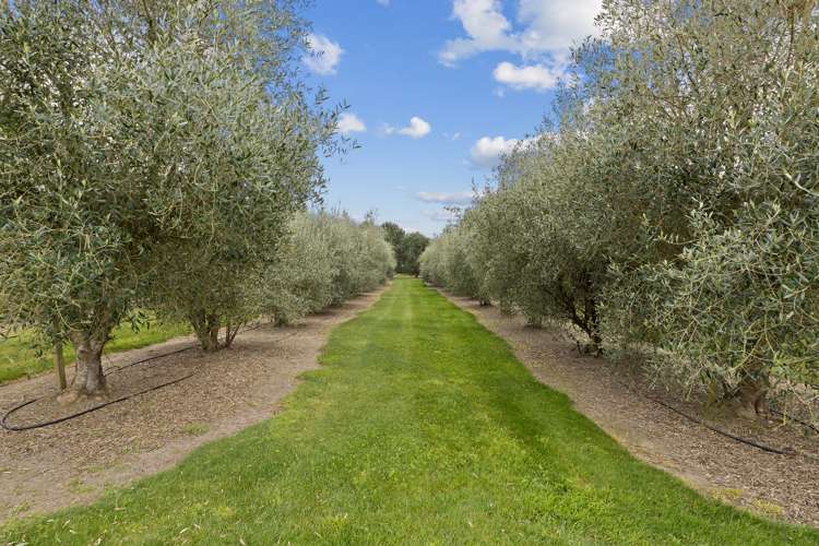 61 Calders Road West Melton_13