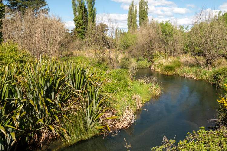 216 Mangaroa Street Tokaanu_23