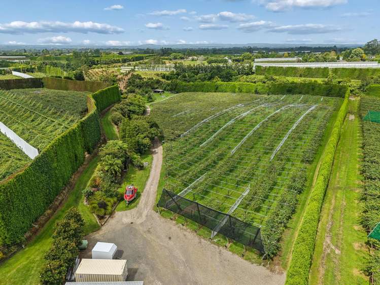 447 No2 Road Te Puke_27