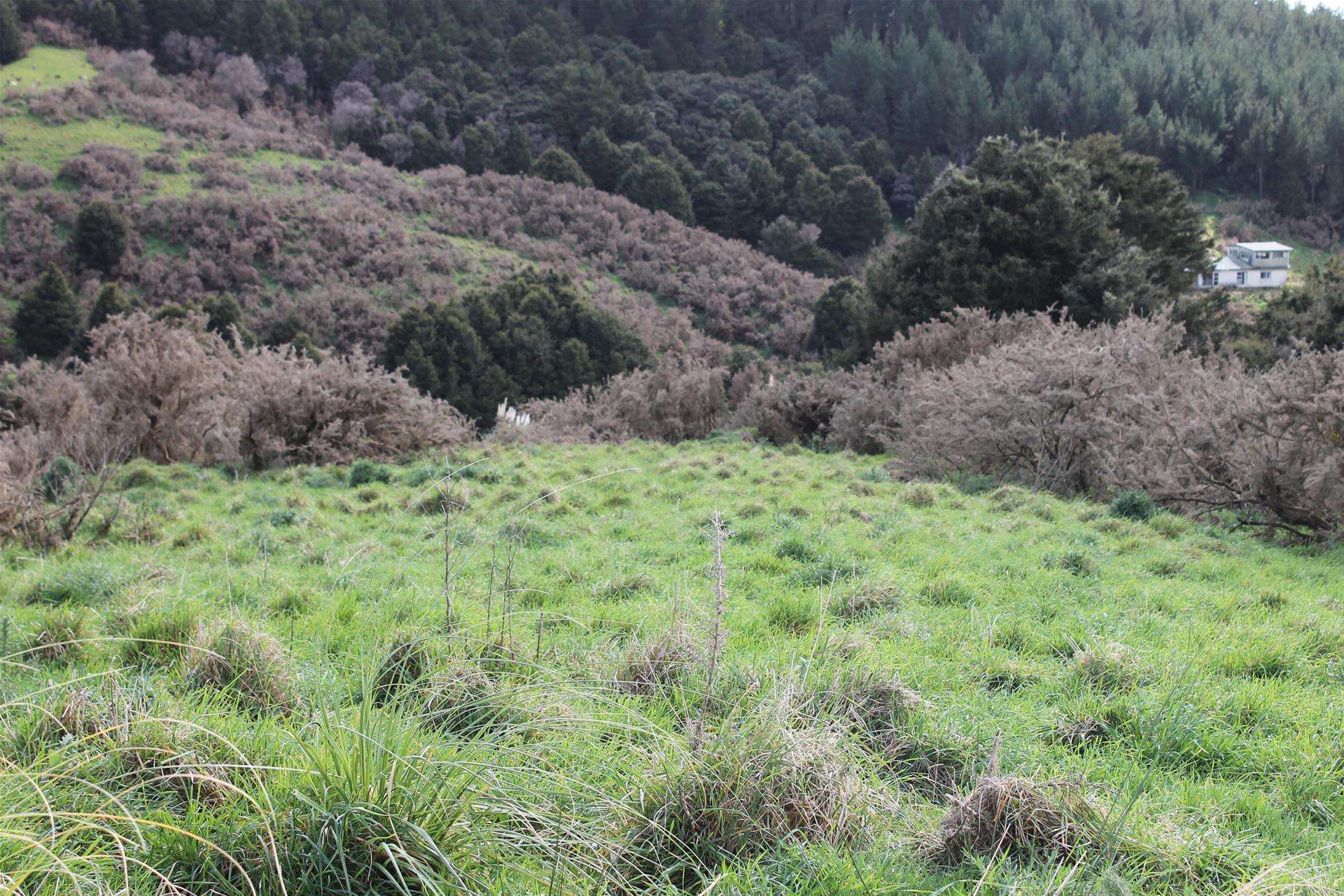 6041 State Highway 12 Ohaeawai_0