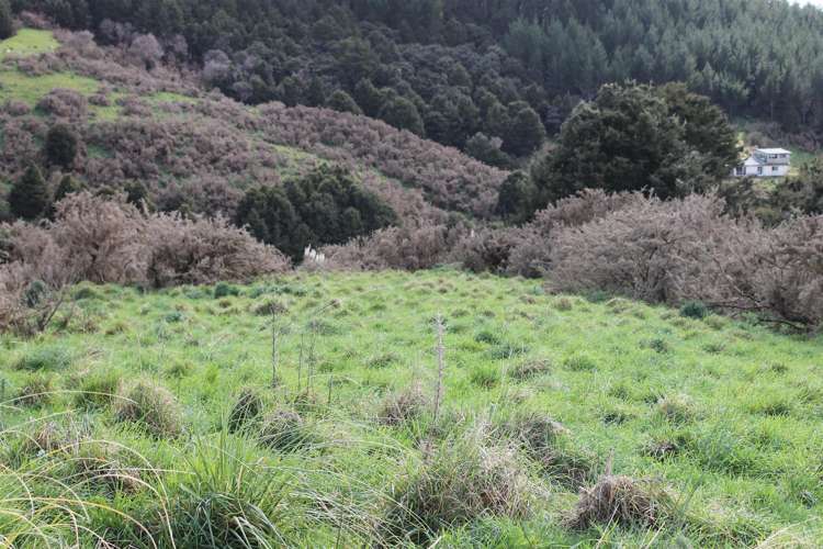 6041 State Highway 12 Ohaeawai_0