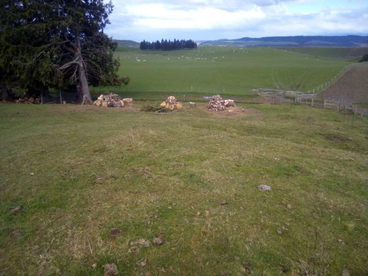 55 Otahu Eastern Bush Road Eastern Bush_17