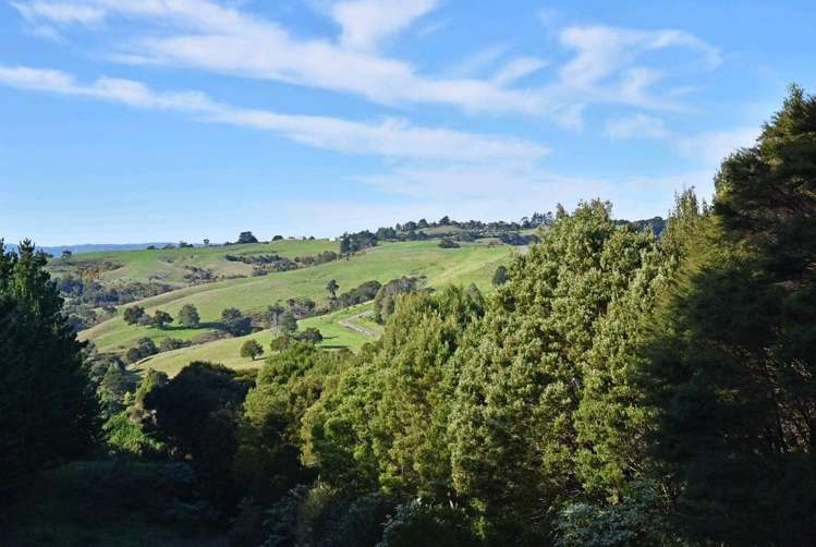 118 Griggs Road East Tamaki Heights_13