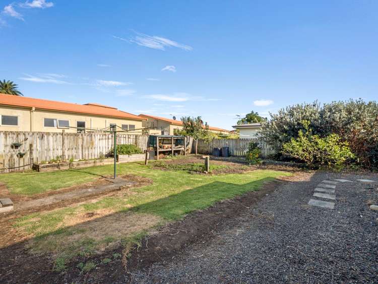 103 Banks Street Thames_24