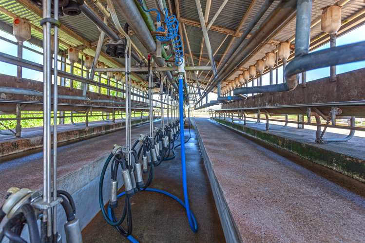 16 Ferry Road Hikutaia_12