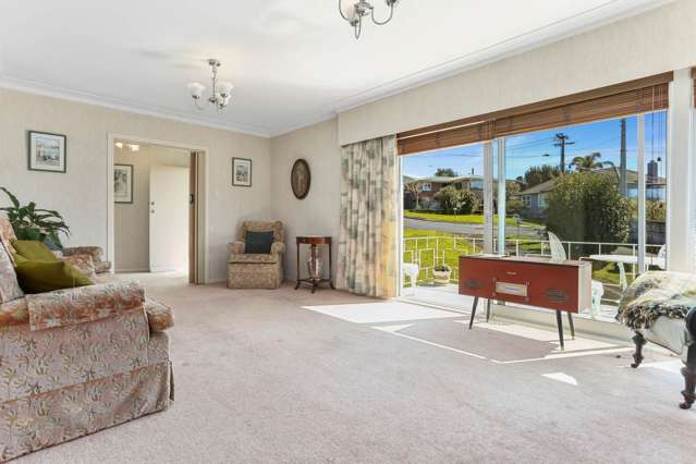 13 Camellia Place Mount Roskill_2