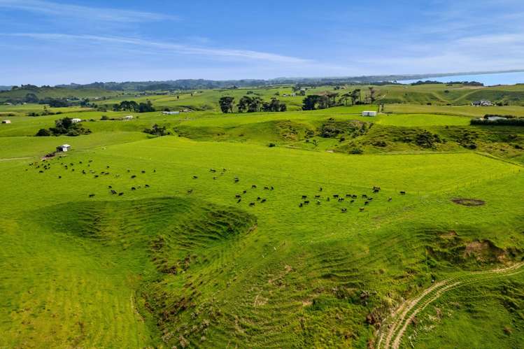 78a Waitoetoe Road Mimi_12